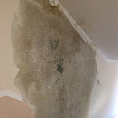 Leckortun, Trocknung, Sanierung von Hausrat, Wohnungs- und Geschäftseinrichtungen